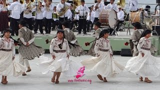 Guelaguetza 2015 Santa María Tlahuitoltepec 1er Lunes 10am [upl. by Eiramnna]