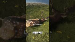 Two Long Shots On Two Gorgeous Bucks theHunter Call of the Wild [upl. by Klepac]