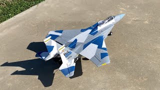 Eflite 64mm EDF F15 Eagle [upl. by Fusuy337]