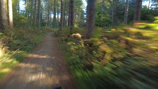 Come Explore The Brand New Green Route At Sherwood Pines On Your Bike [upl. by Airamesor918]