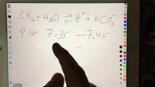 How to Know Respiratory Acidosis from Metabolic  Arabic بالعربي [upl. by Goodard398]