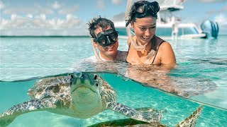 Our Honeymoon in Harbor Island Bahamas Spearfishing Bahamas [upl. by Notsgnal]