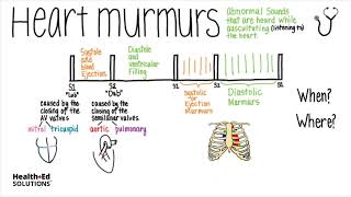 Heart Murmurs Overview Heart Murmur Series [upl. by Thrasher]