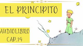 EL PRINCIPITO Cap 19 AUDIOLIBRO [upl. by Berta]