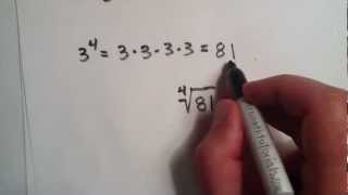 What are Roots and Exponents and How are They Related [upl. by Aehtorod]