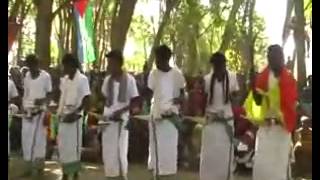 Afar song Gangaytu fiiruk salam aley yakumeni [upl. by Nostets56]