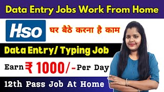 Data Entry Jobs Work from home  HSO Job  12th Pass Job Vacancy 2024  Online Typing Jobs at Home [upl. by Alrad]