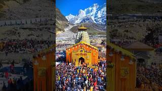 🕉️ केदारनाथ धाम 🔱 kedarnath lordshiva shiva mahadev bholenath himalayas kedarnathtemple [upl. by Gauthier]