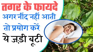 तगर के फायदे  Valeriana Jatamansi Health Benefits in Hindi by Dr Shamoon [upl. by Nahtnhoj]