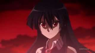 Akame Ga Kill Opening 1  US Toonami Version [upl. by Atinet]