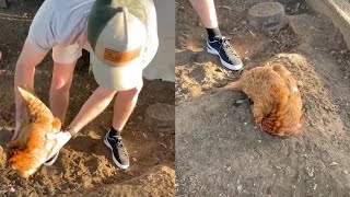 Man Shows Hilarious Trick To Put Chicken To Sleep [upl. by Ticknor945]