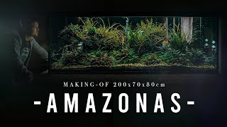 INCREDIBLE 1000L Amazon Aquarium build  XXL Step by Step Tutorial  Planted Tank [upl. by Norean]