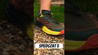 HOKA SPEEDGOAT 5 REVIEW  Trail Shoe  shorts hoka speedgoat5 runningshoes running [upl. by Laval]