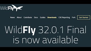 Wildfly Application Server Installation [upl. by Akihsar237]