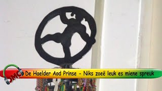 De Haelder Aod Prinse  Niks Zoeë Leuk Es Miene Spreuk [upl. by Elleina]