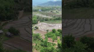 Luang Prabang Laos 🇱🇦 laos shortvideo travel viajando dji rice traveling [upl. by Deeas]