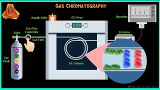 Gas Chromatography  GC Instrumentation  Gas Chromatography Animation  GC [upl. by Raddy688]