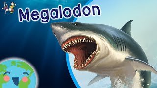 The Megalodon  Animals for Kids Learning Videos for Kids [upl. by Trofmoc]