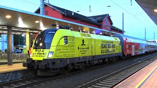 Ã–BB Bahnhof Dornbirnâš’ï¸ Profis am Werk Bauhilfsgewerbe Lok anðŸª Kamelbuckelzug an REX [upl. by Lybis]