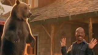 Dr Dolittle 2 2001 Movie Explained  Movie Explanation [upl. by Bromley]