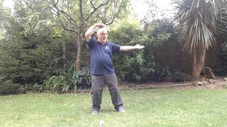 tai chi qigong v2 for National Rail wellbeing channel [upl. by Onurb]