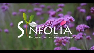 Les Pépinières Synfolia  Un regroupement de 5 pépinières françaises [upl. by Aitetel903]