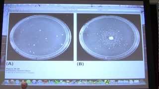 45 Biochemistry DNA Repair  Transcription I Lecture for Kevin Aherns BB 451551 [upl. by Eilah]