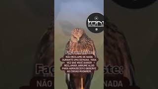 Pare com esse hábito dj memes youtubeshorts espiritualidade foco [upl. by Akahc559]