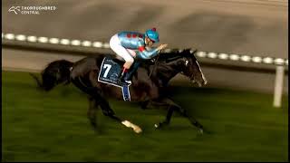 2023 DRC MEYDAN Dubai Sheema Classic [upl. by Gunter977]