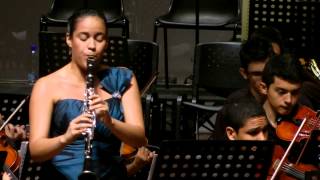 Concierto para Clarinete Nº 3  Karl Stamitz [upl. by Acirfa591]