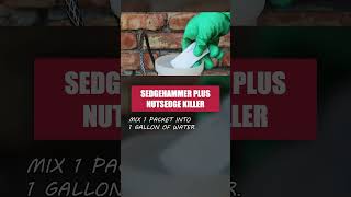 Get Rid of Nutsedges and Other Weeds with Sedgehammer Plus [upl. by Vidovic]