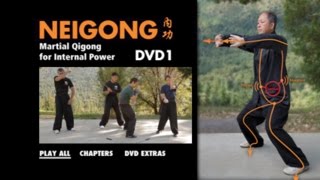 NEI GONG  Martial Arts Qigong YMAA Dr Yang JwingMing [upl. by Dodie]