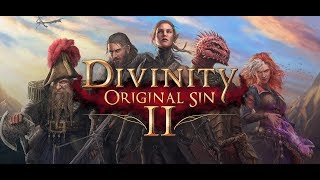 Divinity Original Sin 2 Прохождение90 Секреты магистров [upl. by Moncear]