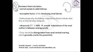 Lec 3 Persistant Fetal Lobulation [upl. by Peugia]