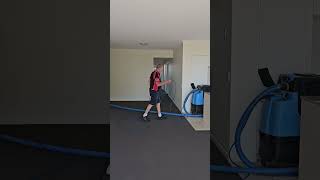 Carpet cleaning near you [upl. by Evelin666]