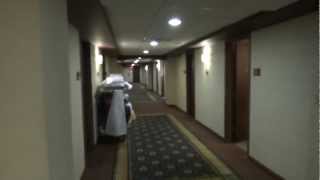 Dover Traction Scenic elevators  Galt House Hotel Suite Tower Louisville KY [upl. by Hailee]