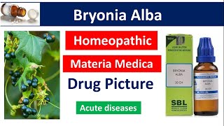 Bryonia Alba Homeopathic Medicine  Drug Picture  Materia Medica bhms bryonia [upl. by Carlynn40]