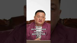 Какие растения помогут вам жить дольше [upl. by Atonsah]