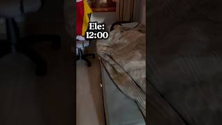 Tem alguém que dorme mais que a cama 😂 shorts youtubeshorts [upl. by Acireh915]