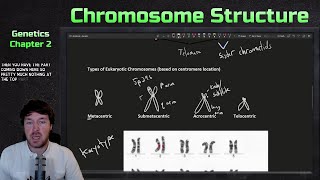 Chromosome Structure and Organization  Genetics Ep 2 [upl. by Fonda397]