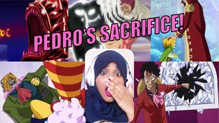 One Piece Season 20 Episodes 848 849 and 850 Reaction [upl. by Eizle]