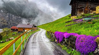 Beautiful rain walking tour in Gimmelwald 🇨🇭 A Swiss village [upl. by Ihsorih]