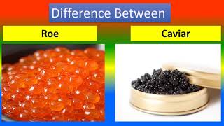 Difference Between Roe and Caviar [upl. by Ennaeel810]