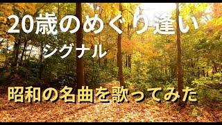 20歳のめぐり逢い 1975年 歌詞付  シグナル【65歳が歌ってみた】covered by 4 Gs Js Acoustic Club [upl. by Sifan266]