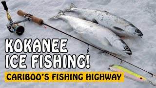 Ice Fishing for Kokanee in Cariboo BC Canada  Fishing with Rod [upl. by Adraynek110]