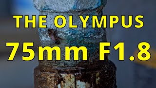 The Olympus 75mm F18 [upl. by Jenilee]