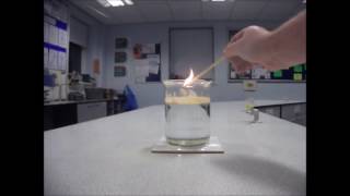 Lycopodium Powder Demonstration [upl. by Shanly]