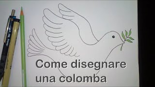 Come disegnare una colomba di Pasqua [upl. by Krm]