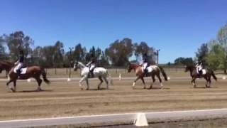 The 1975 Dressage Quadrille [upl. by Linell140]