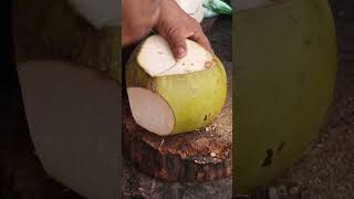 AMAZING COCONUT PEELING Asmr pH street food satisfying streetfood youtubeshorts GatchieJr33 [upl. by Procter]